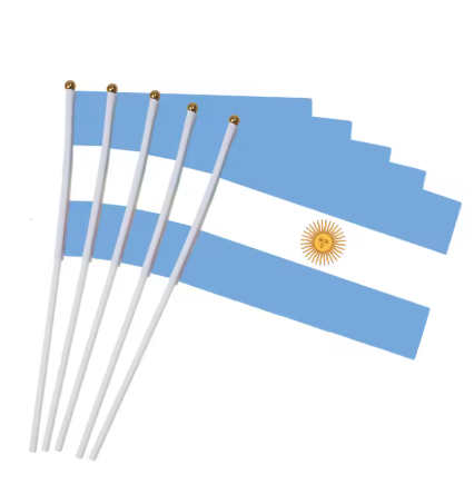 5 PCs Argentina soccer flag
